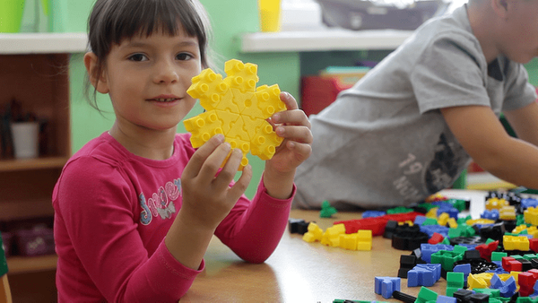 Morphun 24 Animals 252 el. - Construction blocks