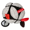 Takana puzzle ball - contrasting with mirror 