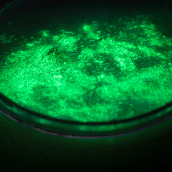 SLIME ZESTAW DIY SWIECĄCY W CIEMNOSCI