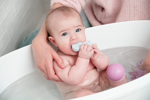 Magimals - magnetic animals - Sealife