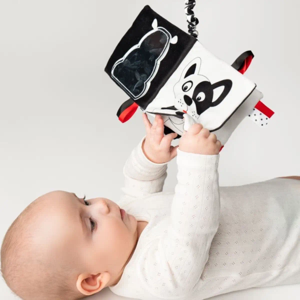 Booklet Who's Who? What it?