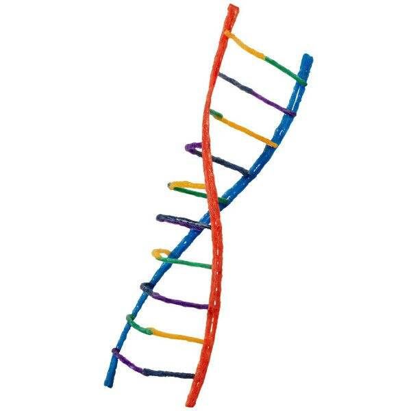 Set of creative strings Wikki Stix - Super long