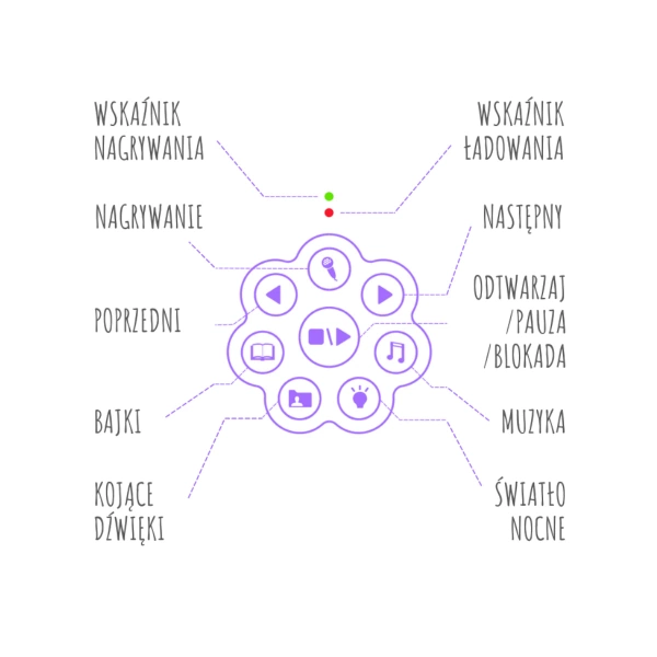 Alilo Honey Bunny G6 PURPLE - purple