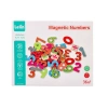Magnetic numbers - magnets 