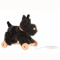 Pluszowy piesek Walter do ciągnięcia na kółkach – Egmont Toys 1+